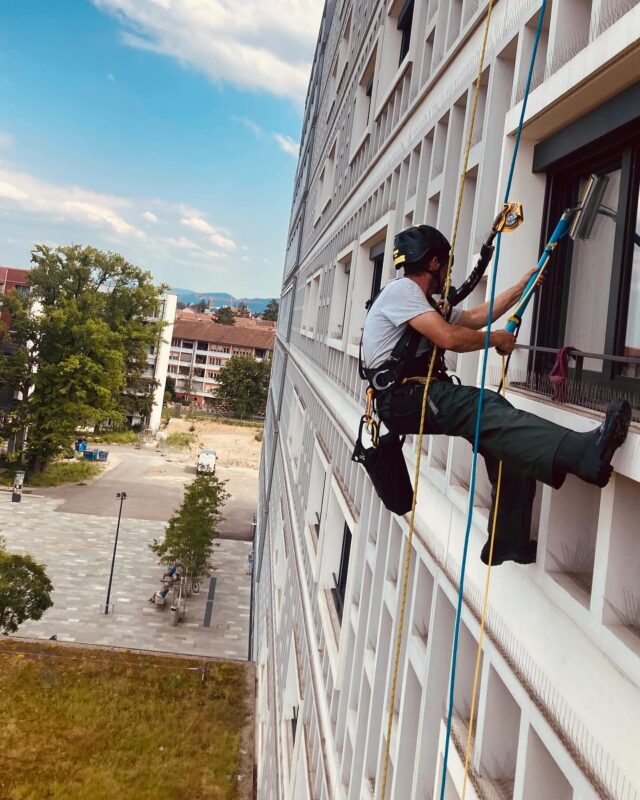 Fensterreinigung #windowcleaning #ropeaccess #petzl